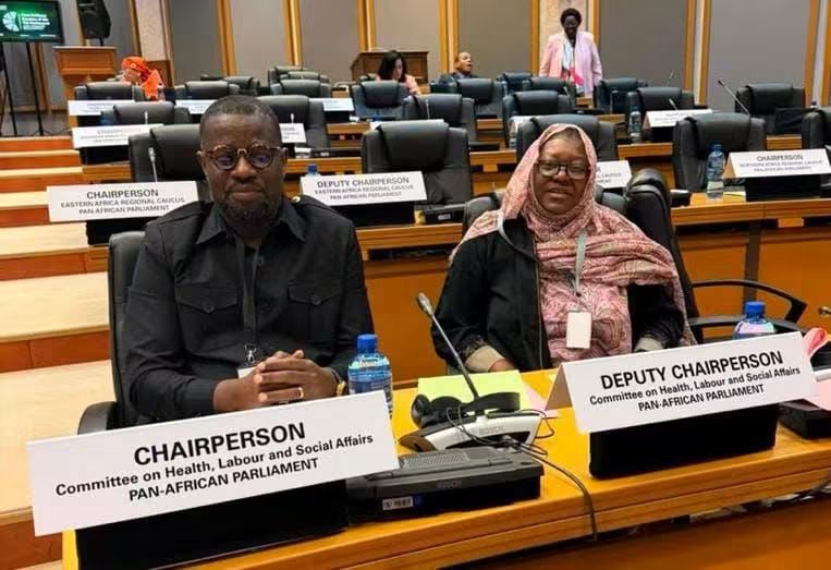 Annoh-Dompreh leads adoption of landmark health resolutions at Pan-African Parliament