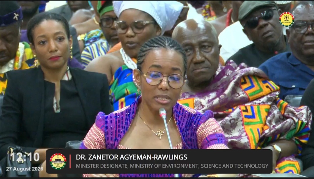 Fight Against Illegal Mining Requires Effective Coordination To Avoid Silo Effect - Dr. Zanetor Agyeman-Rawlings