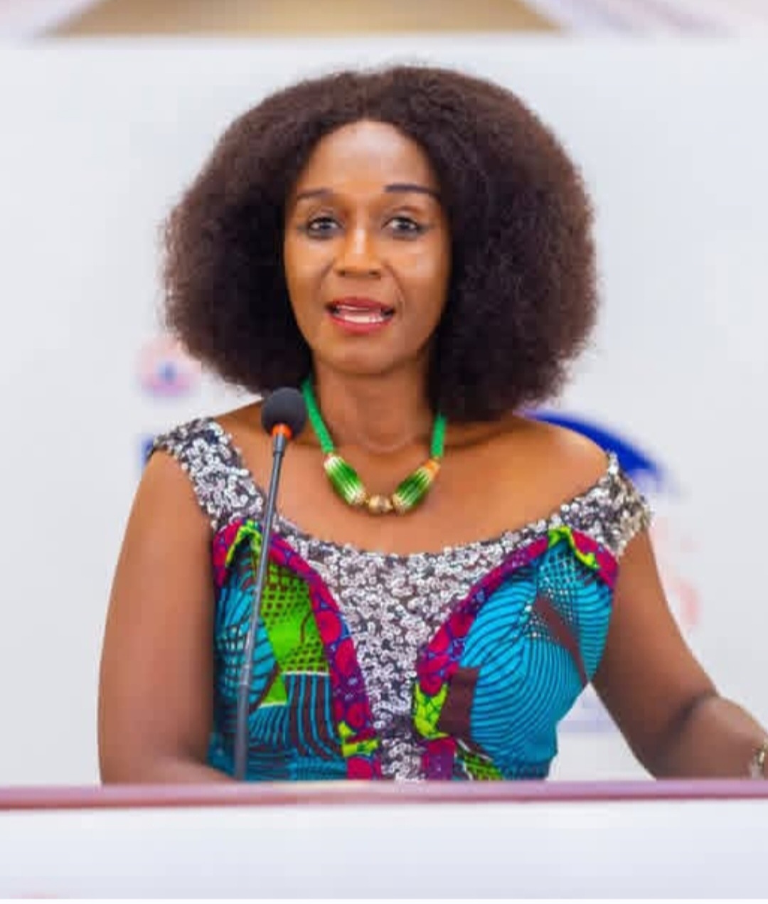 Use 85 Private SHSs Under Free SHS To Absorb Stranded Students - Barbara Ayisi To Gov't