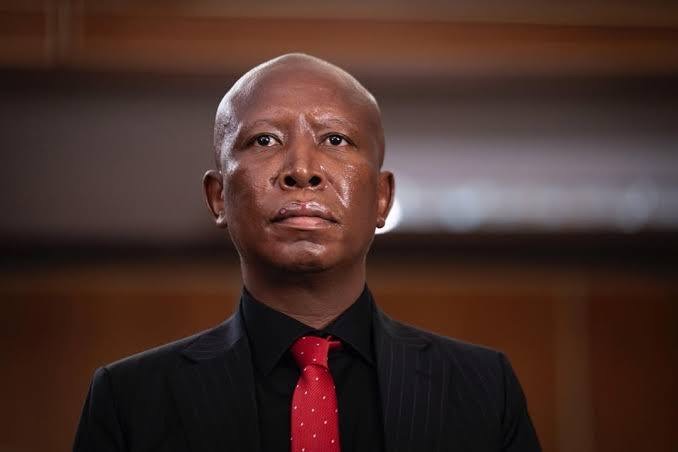 Julius Malema Critiques Ghana's Response to Xenophobic Attacks