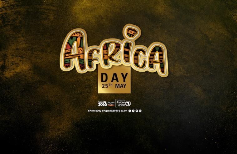 African Diplomats Boycott AU Day Celebrations Over Xenophobic Attacks